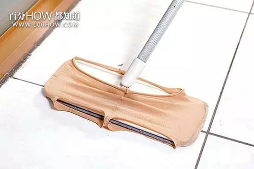 家有寵物的快收藏 教你快速清理寵物的毛發