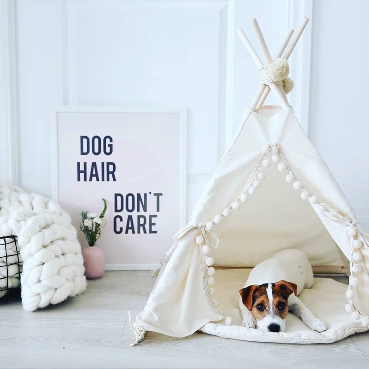 打造愛(ài)寵專(zhuān)屬空間 寵物衣架與收納架的魅力